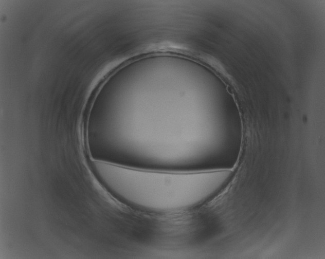 X0000071361032200606230832