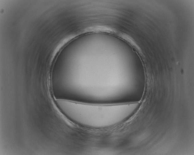 X0000071361040200606230833