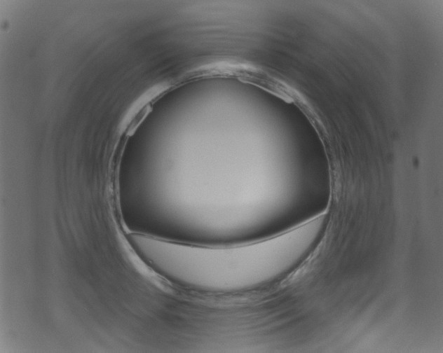 X0000071361042200606230833