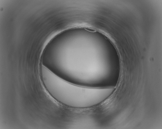 X0000071361056200606230833