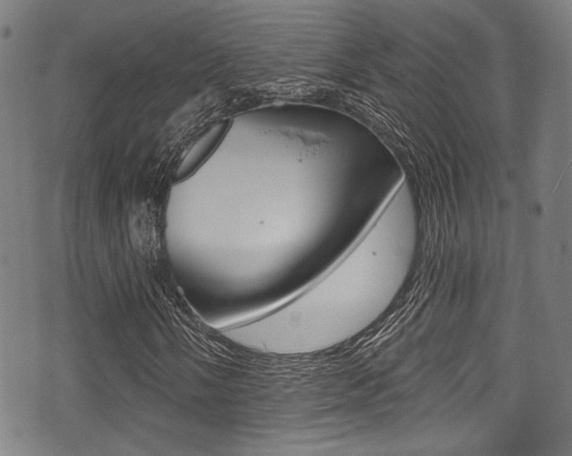 X0000071361058200606230832