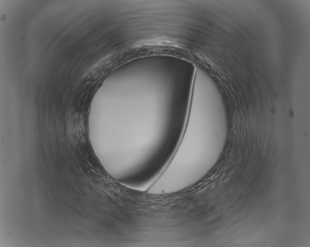 X0000071361062200606230832