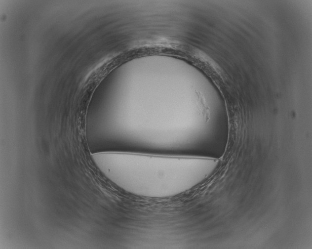 X0000071361064200606230832