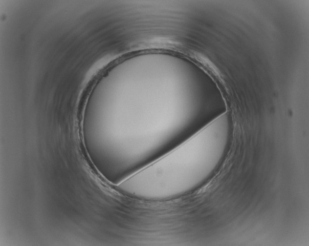 X0000071361072200606230832