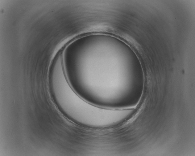 X0000071361077200606230832