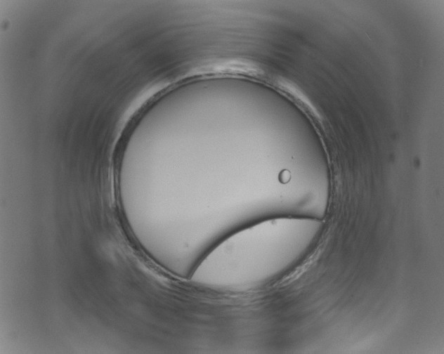 X0000071361079200606230832