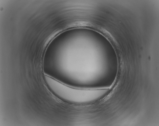 X0000071361081200606230832