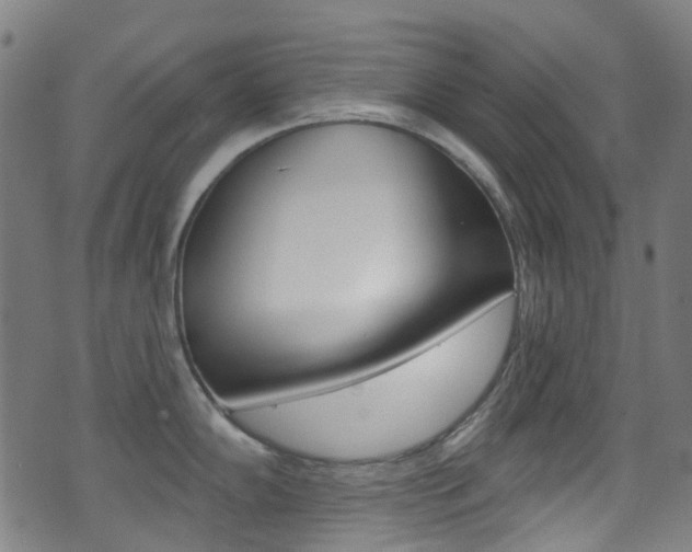 X0000071361102200606230831