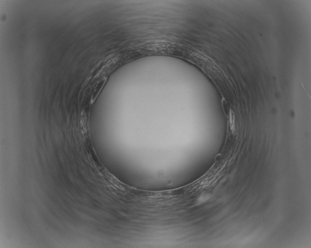 X0000071361107200606230831