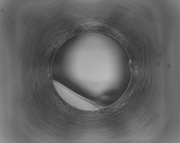 X0000071361108200606230831