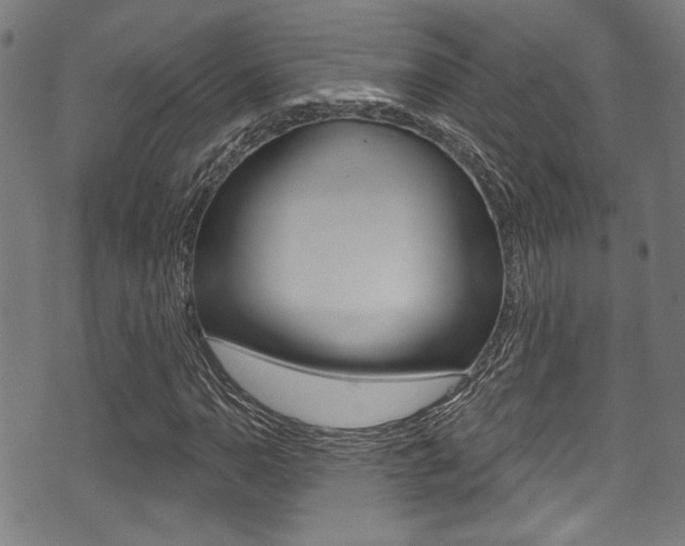 X0000071361110200606230831
