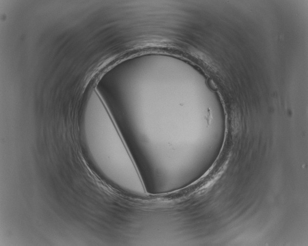 X0000071361113200606230831