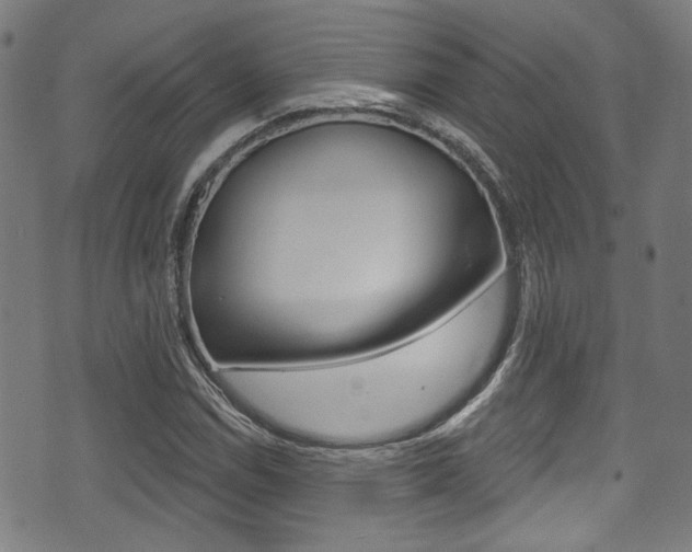 X0000071361114200606230831