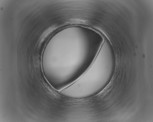 X0000071361115200606230831