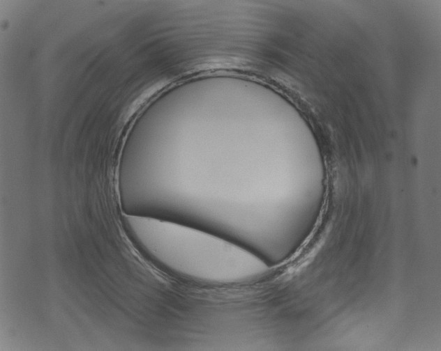 X0000071361121200606230831