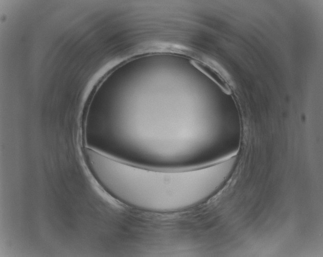 X0000071361136200606230831