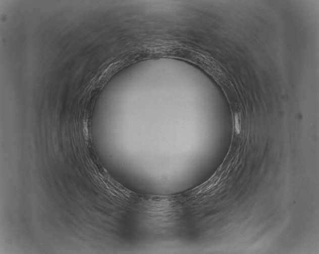 X0000071361155200606230830