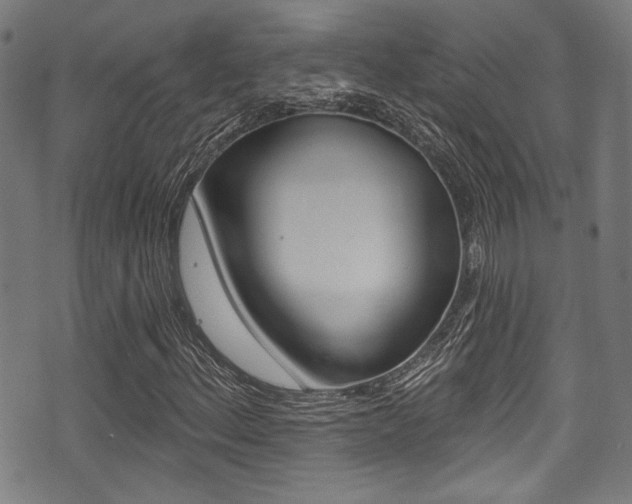 X0000071361156200606230830
