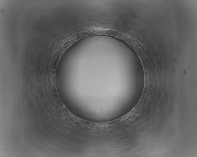 X0000071361157200606230830