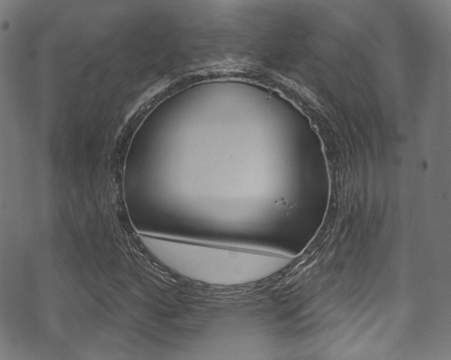 X0000071361160200606230830