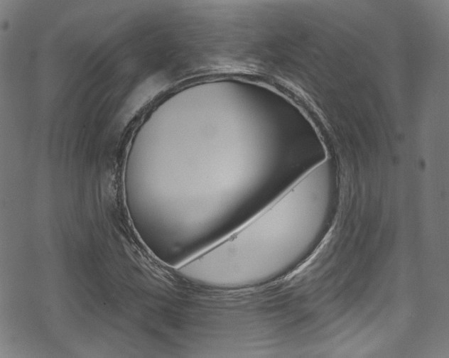 X0000071361163200606230830