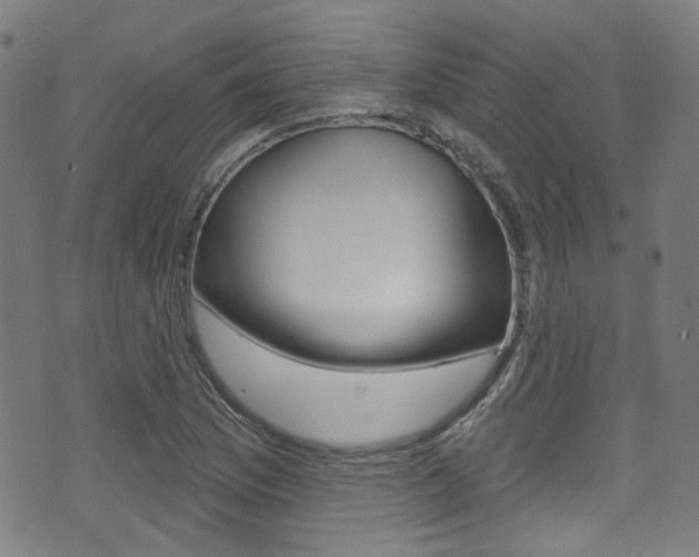 X0000071361169200606230830