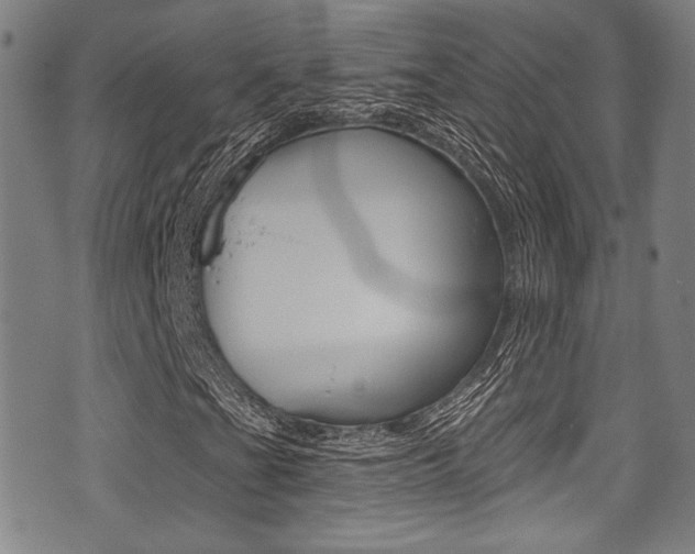 X0000071361201200606230829