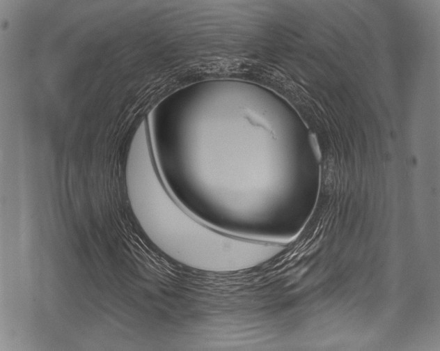 X0000071361202200606230829