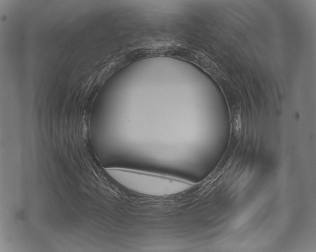 X0000071361204200606230829