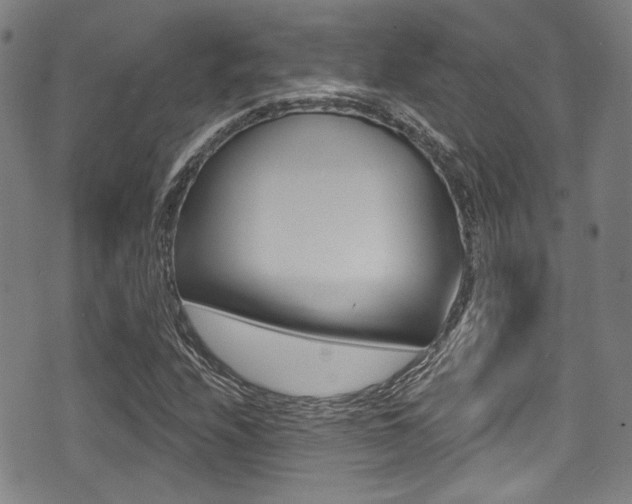X0000071361208200606230829