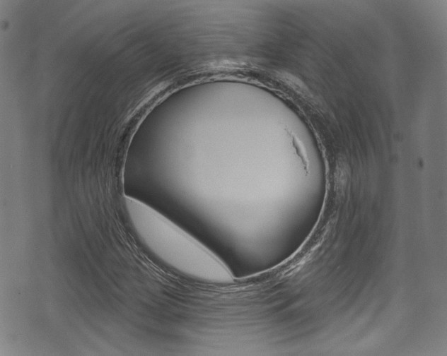 X0000071361209200606230829