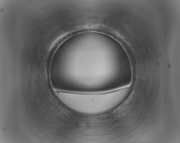 X0000071361214200606230829