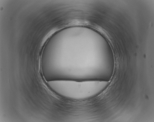 X0000071361227200606230829