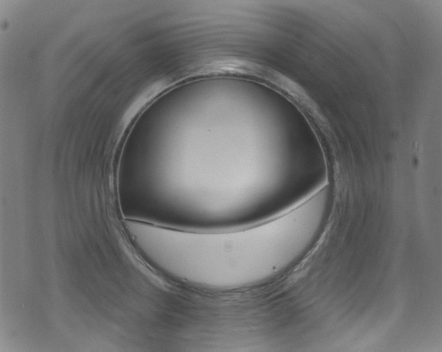 X0000071361234200606230829