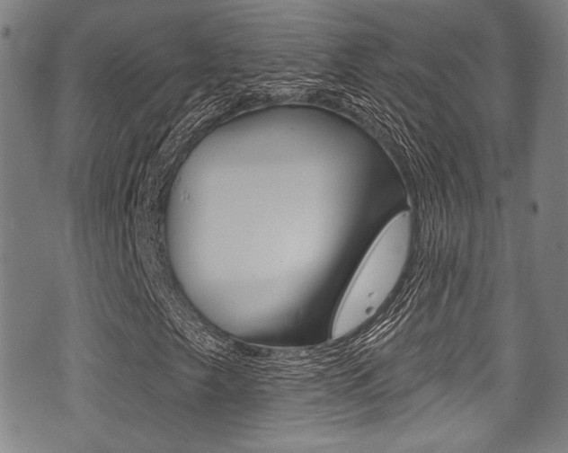 X0000071361249200606230829