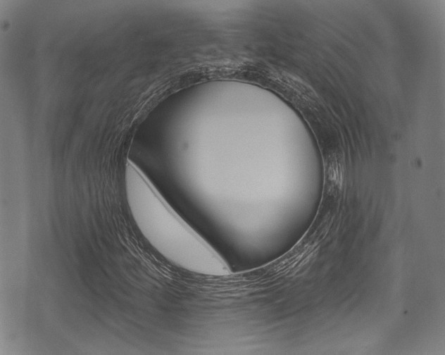 X0000071361252200606230829