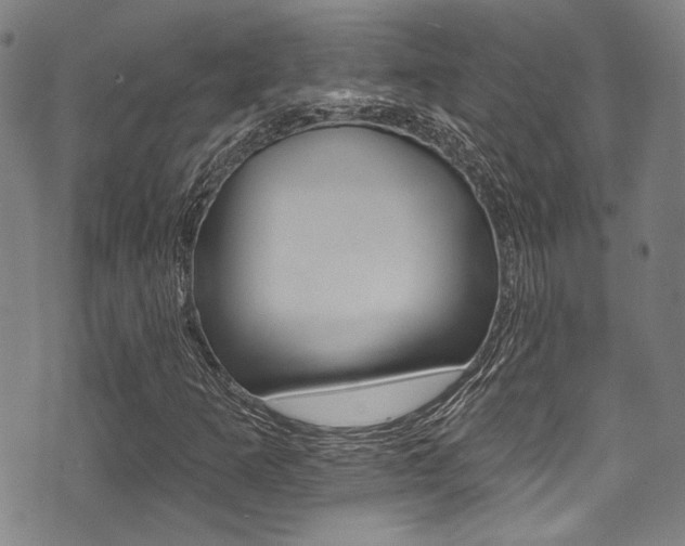 X0000071361253200606230829
