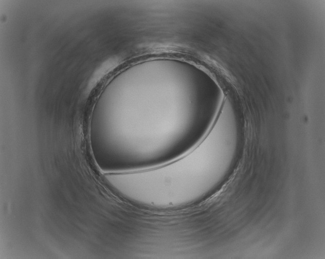 X0000071361261200606230829