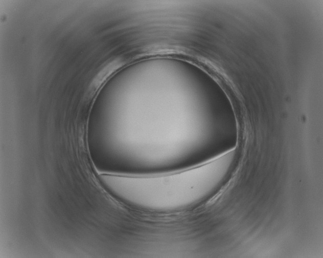 X0000071361273200606230829
