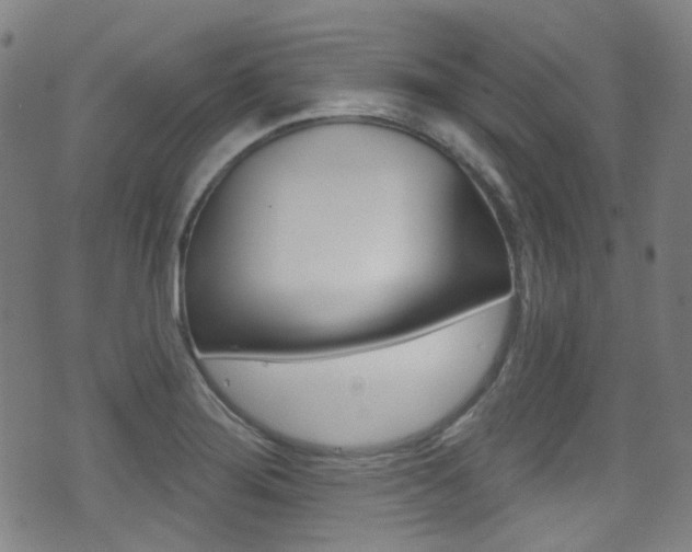 X0000071361276200606230829