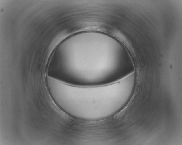 X0000071361284200606230828