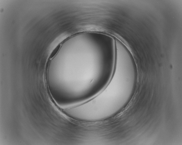X0000071361293200606230828