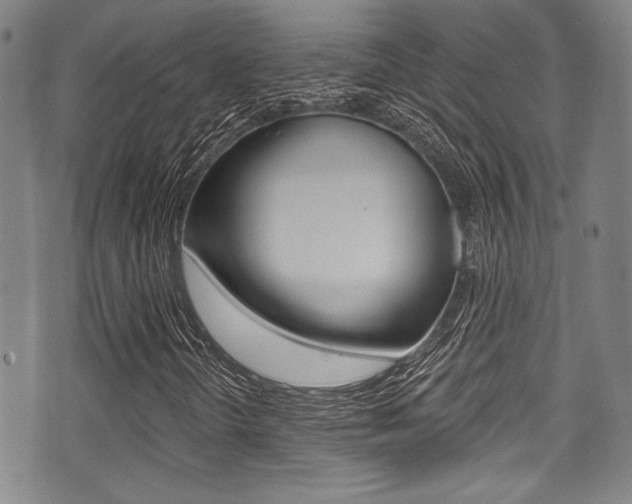 X0000071361298200606230827