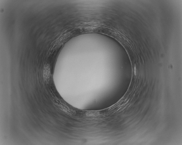 X0000071361299200606230827