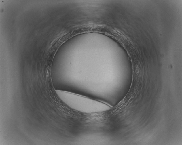 X0000071361302200606230828