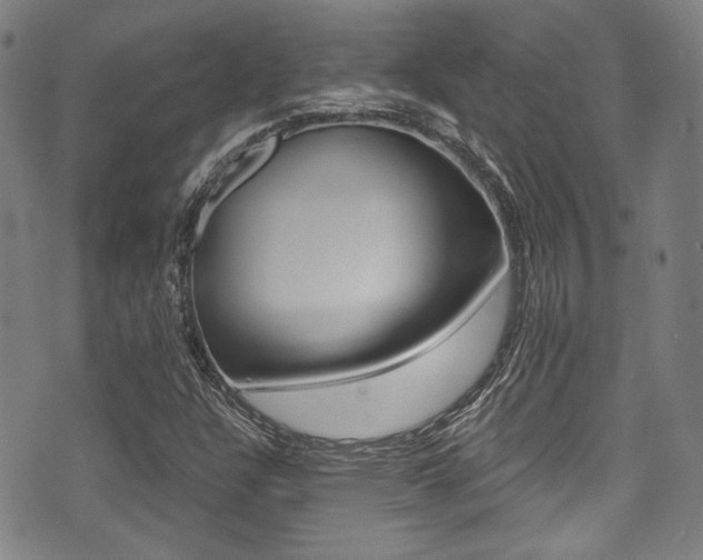 X0000071361304200606230828