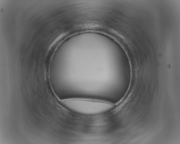X0000071361306200606230828