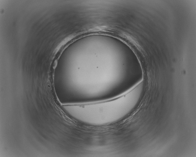 X0000071361308200606230828