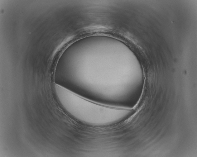 X0000071361309200606230828