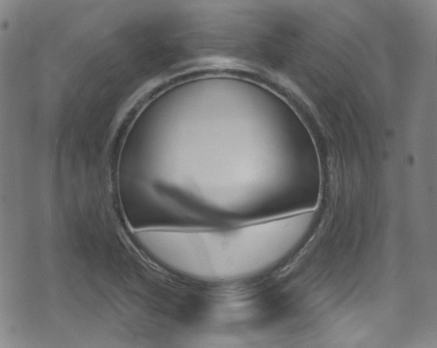 X0000071361318200606230828